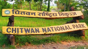 chitwan national park